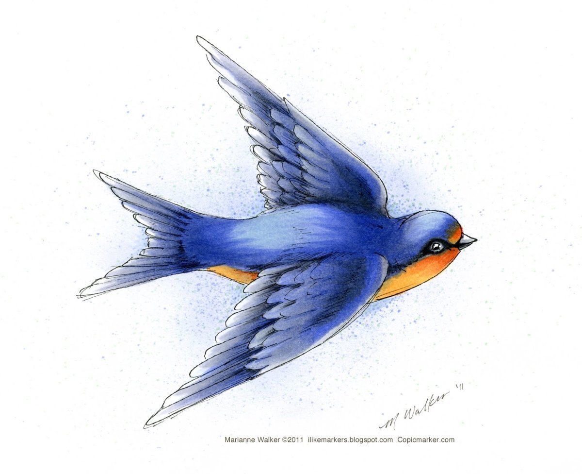 Ласточка лайнворк