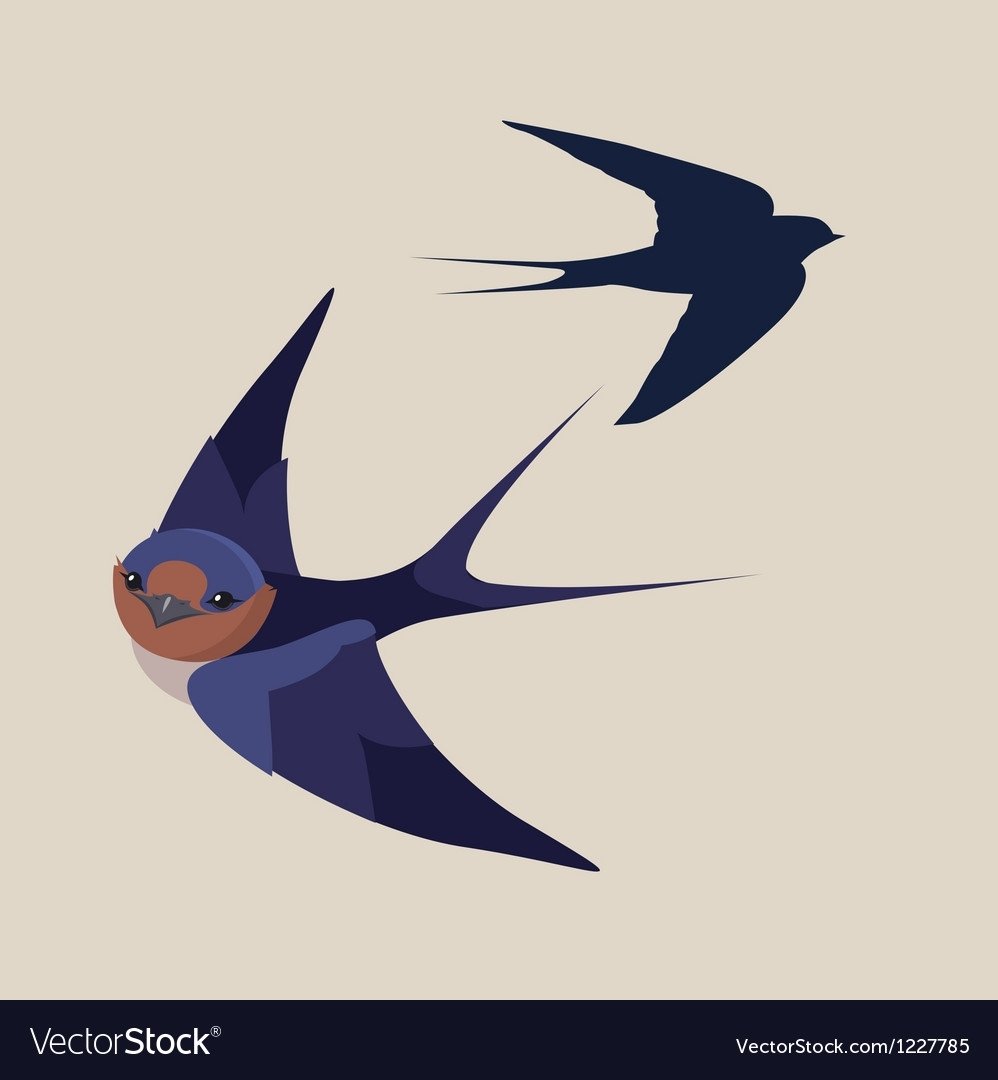 Ласточка рисунок