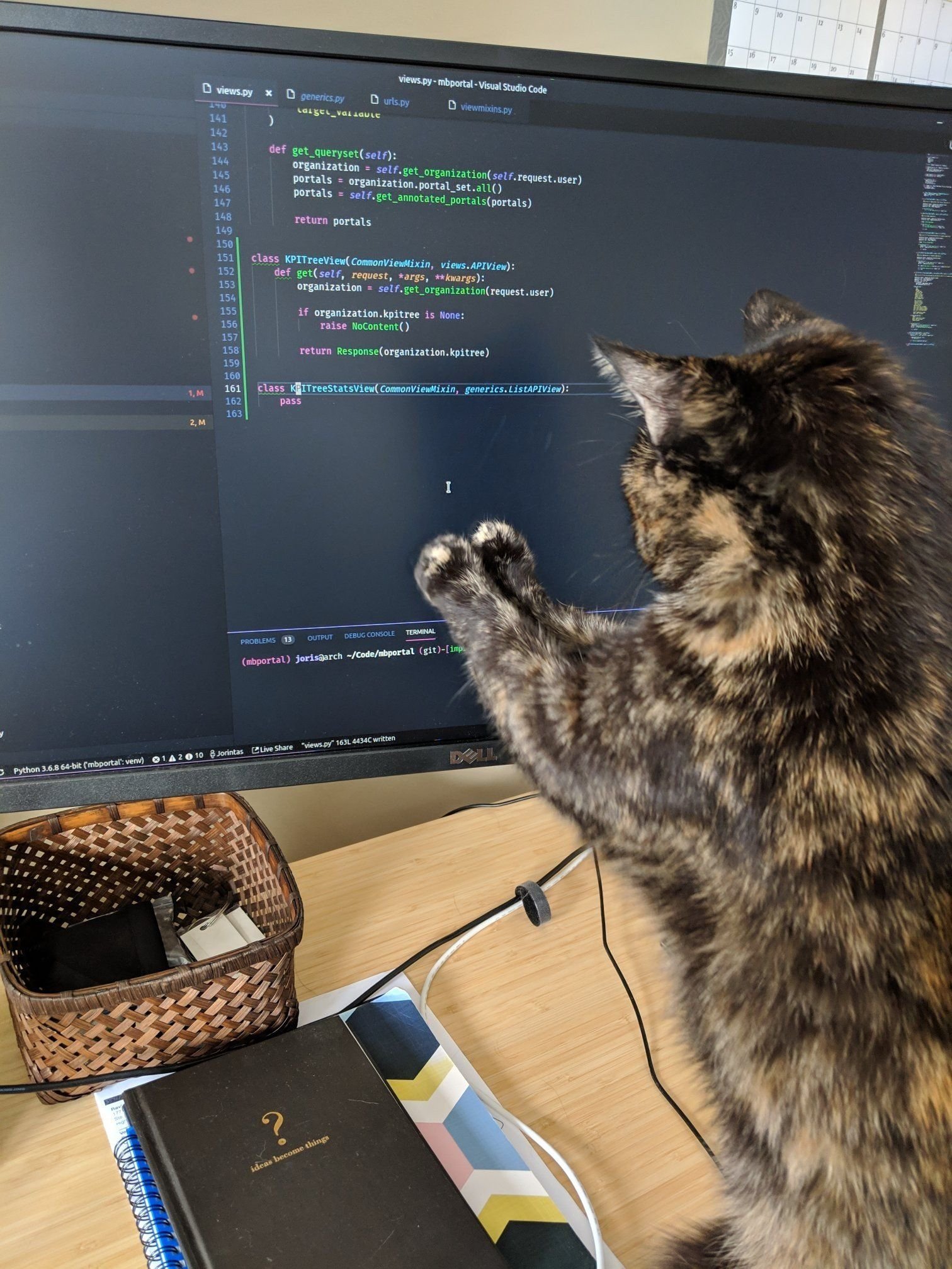 Кот разработчик. Кот программист. Коты программисты. Кот Компьютерщик. Кот хакер.