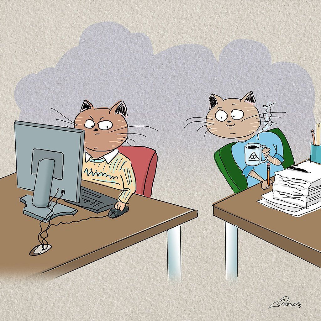 Кот программист