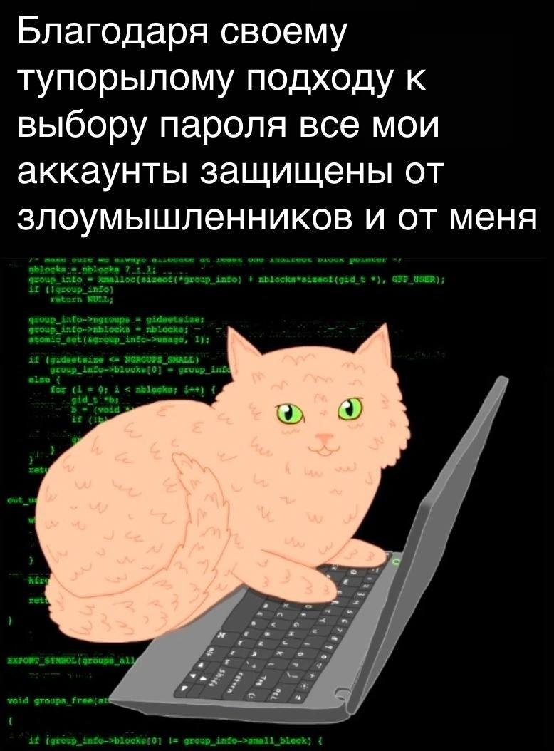 Кот программист