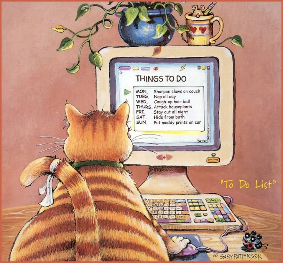 Кот за компом арт