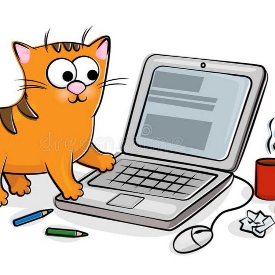 Котик за компьютером