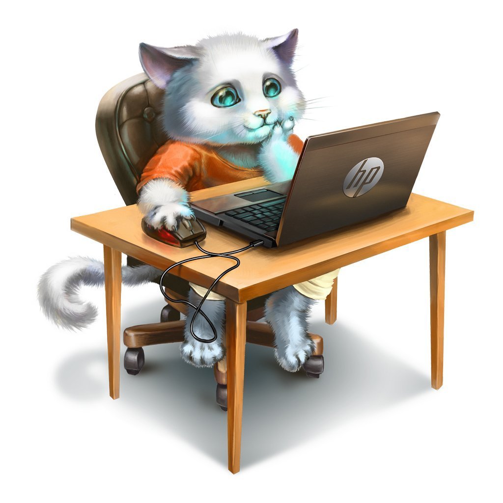 Кот за компом