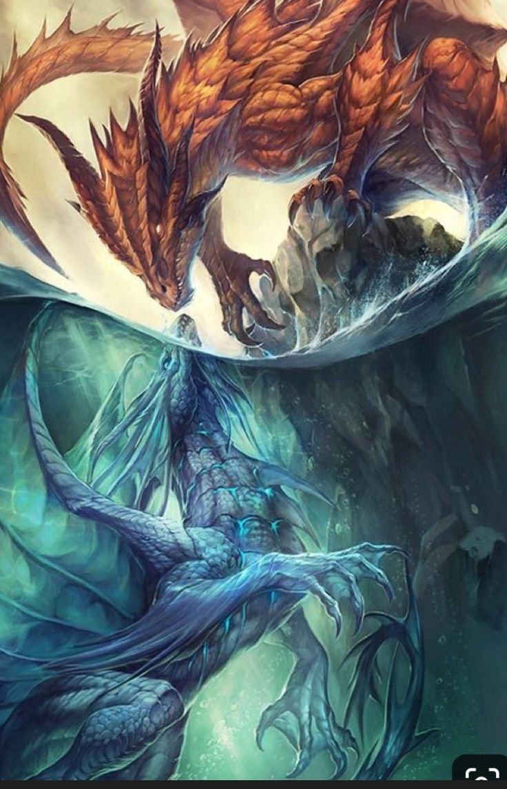 Зирнитра дракон