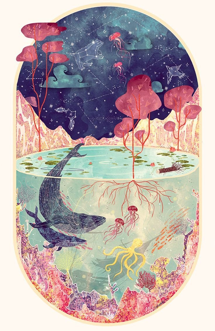 Инстаграм иконка