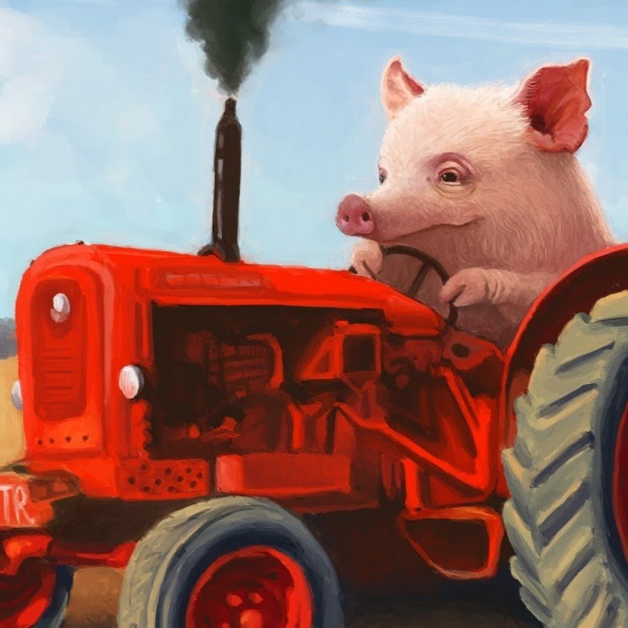 Наталья Ченчик трактористка