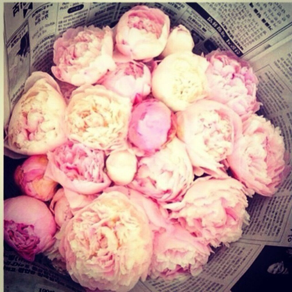 Девочка с пионами