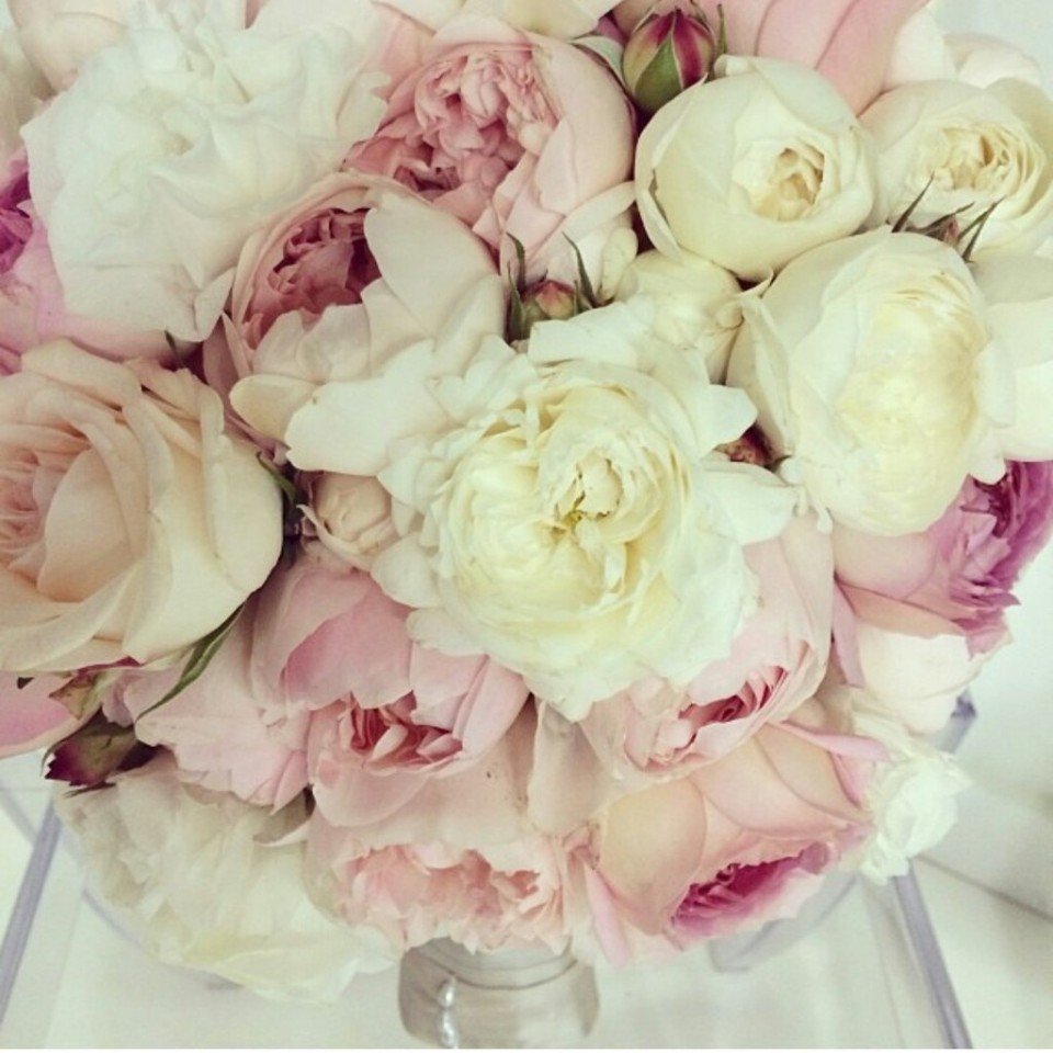 Пионы бежевые