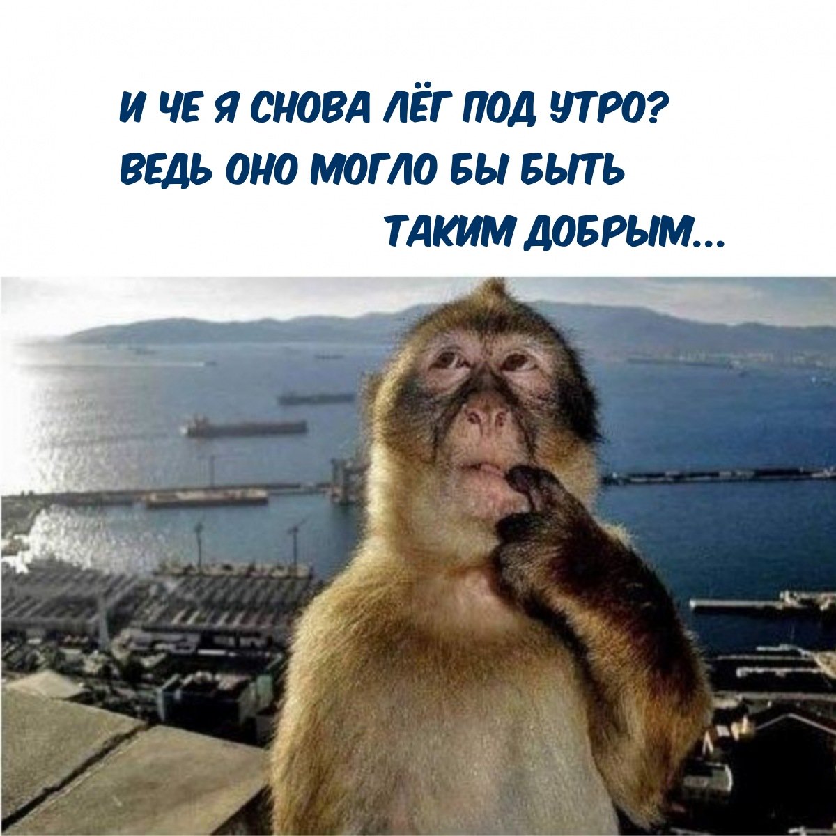 Открытка я на работе