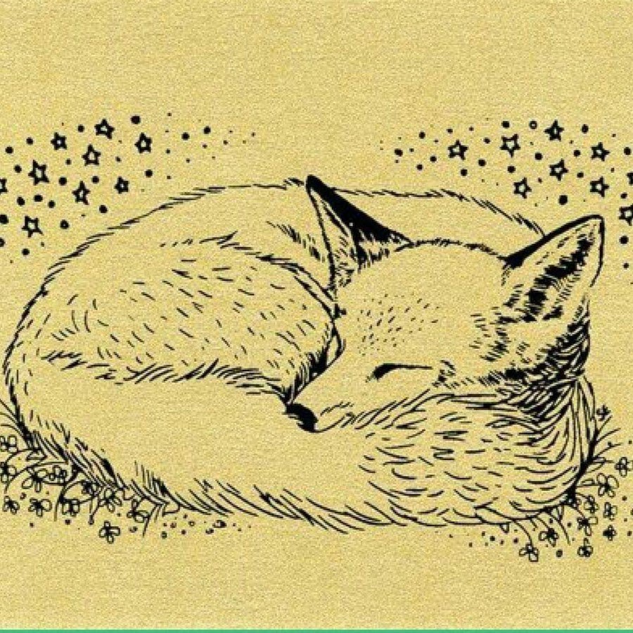 Морда лисы карандашом