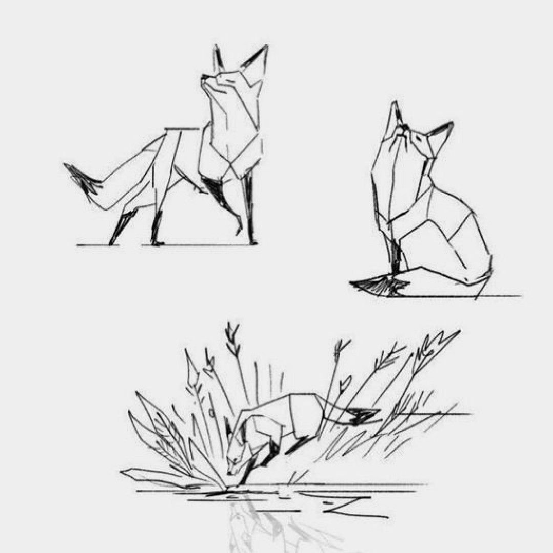 Очертания лисы