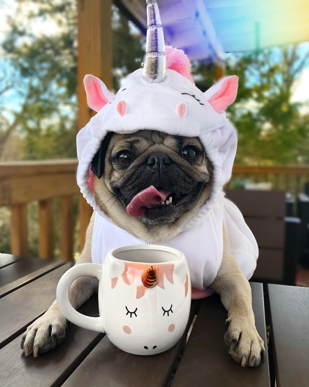 Бодрого утра смешные