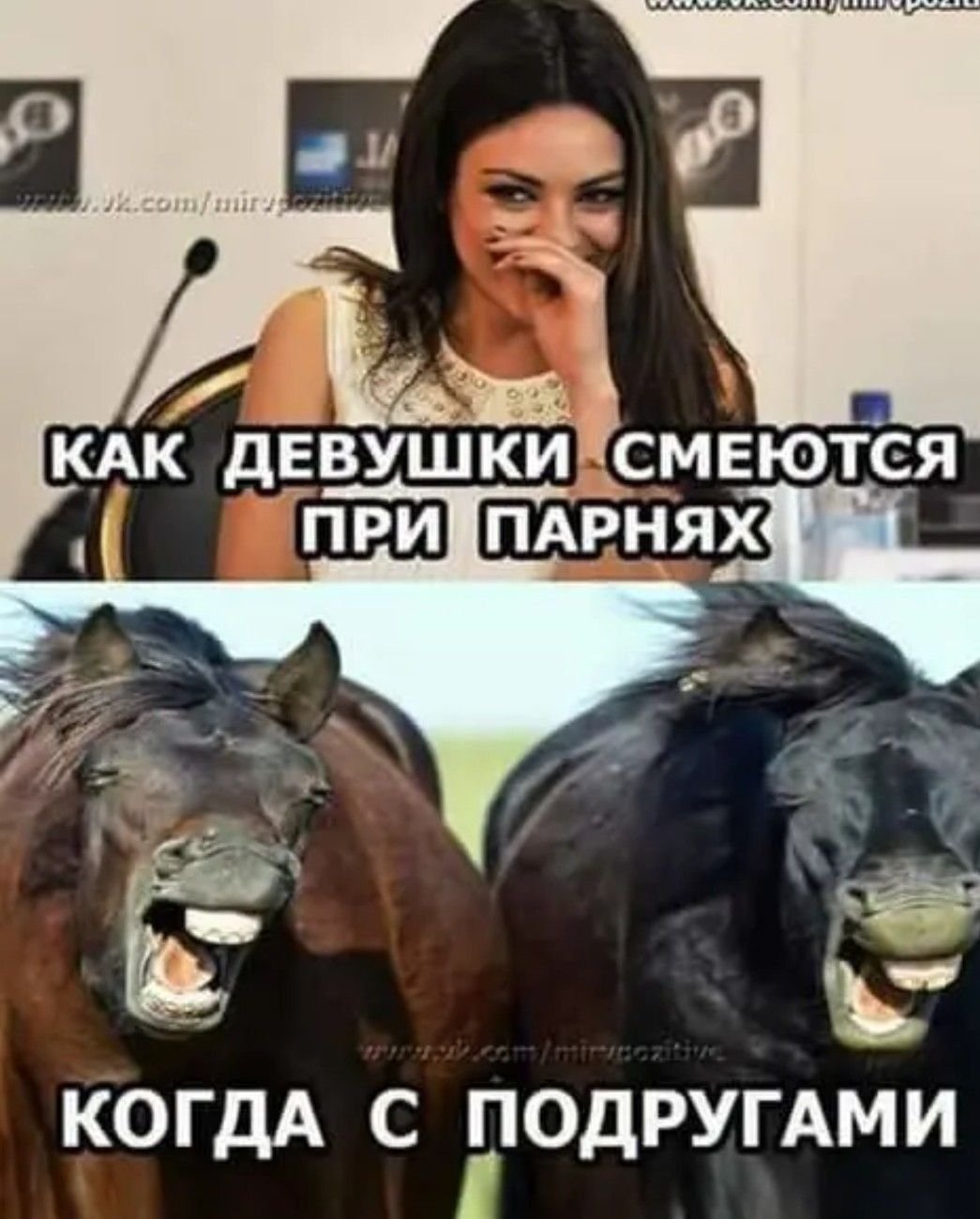 Анекдоты позитивные в картинках