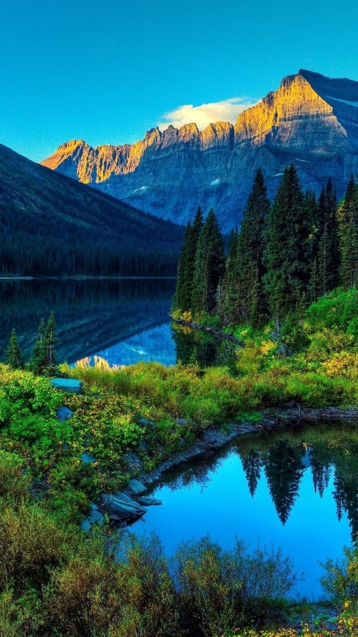 Природа горы