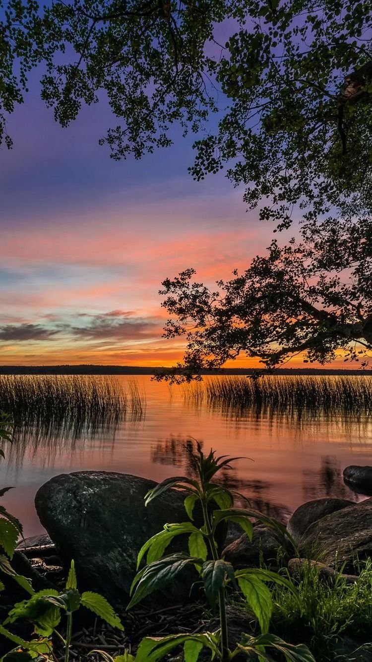 Красивые пейзажи природы