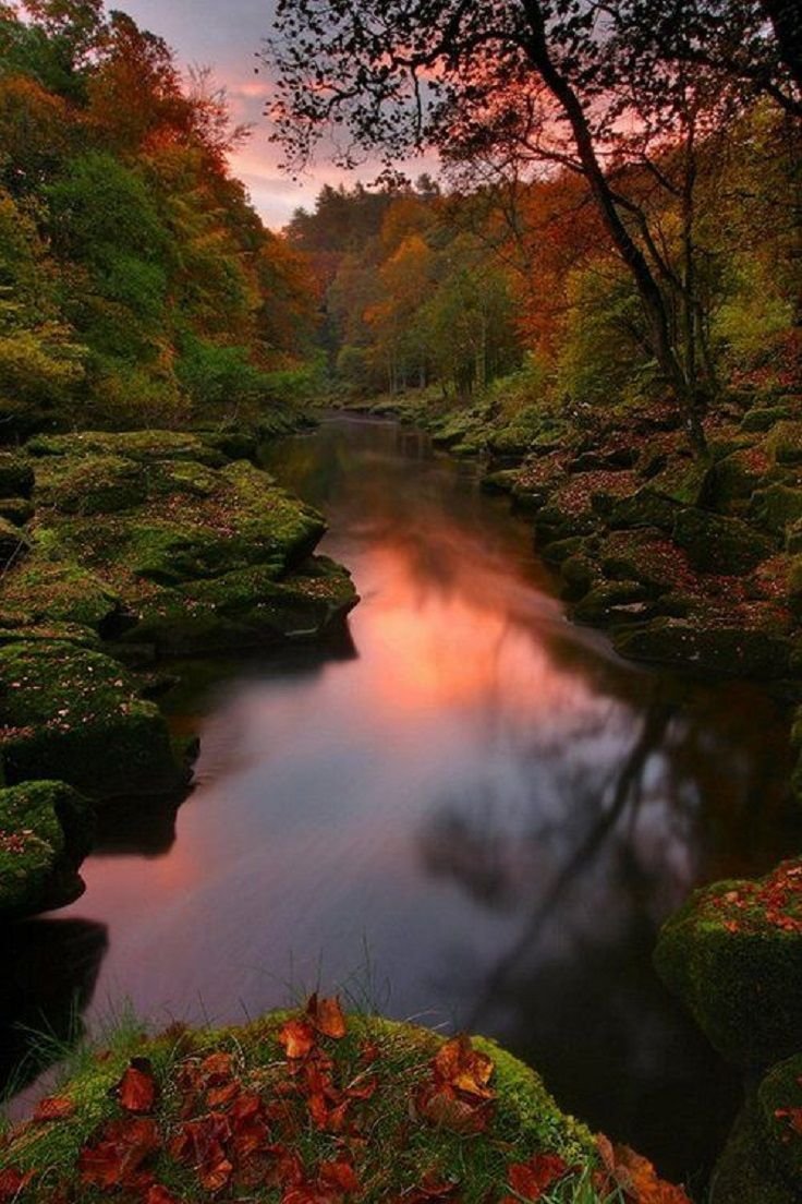 Красивый пейзаж