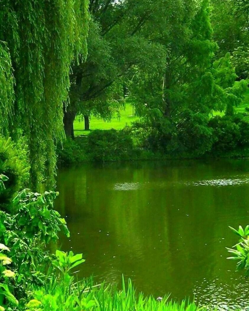 Пейзажи природы