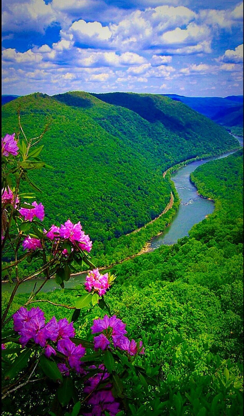 Весна природа