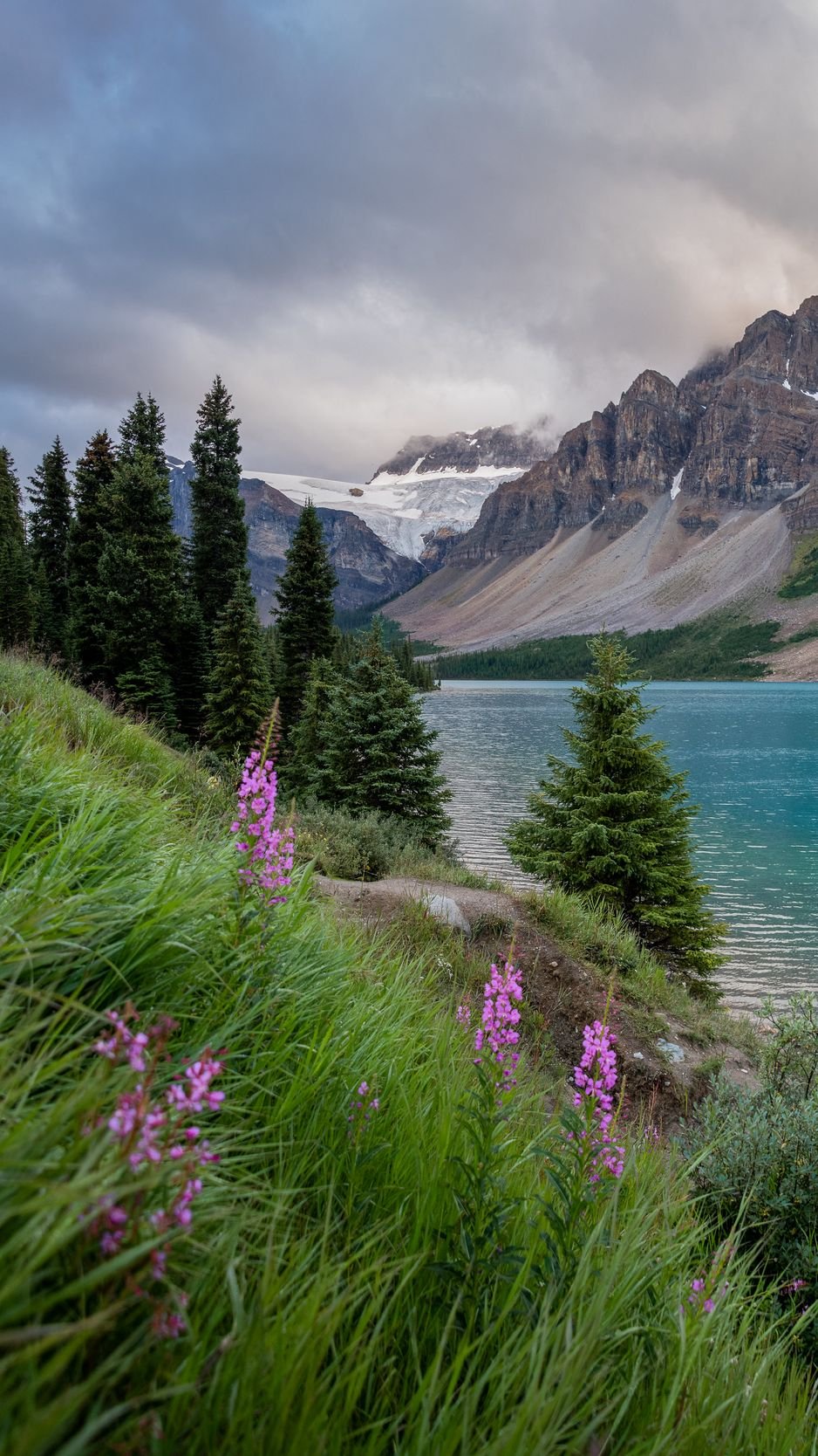 Пейзаж вертикальный