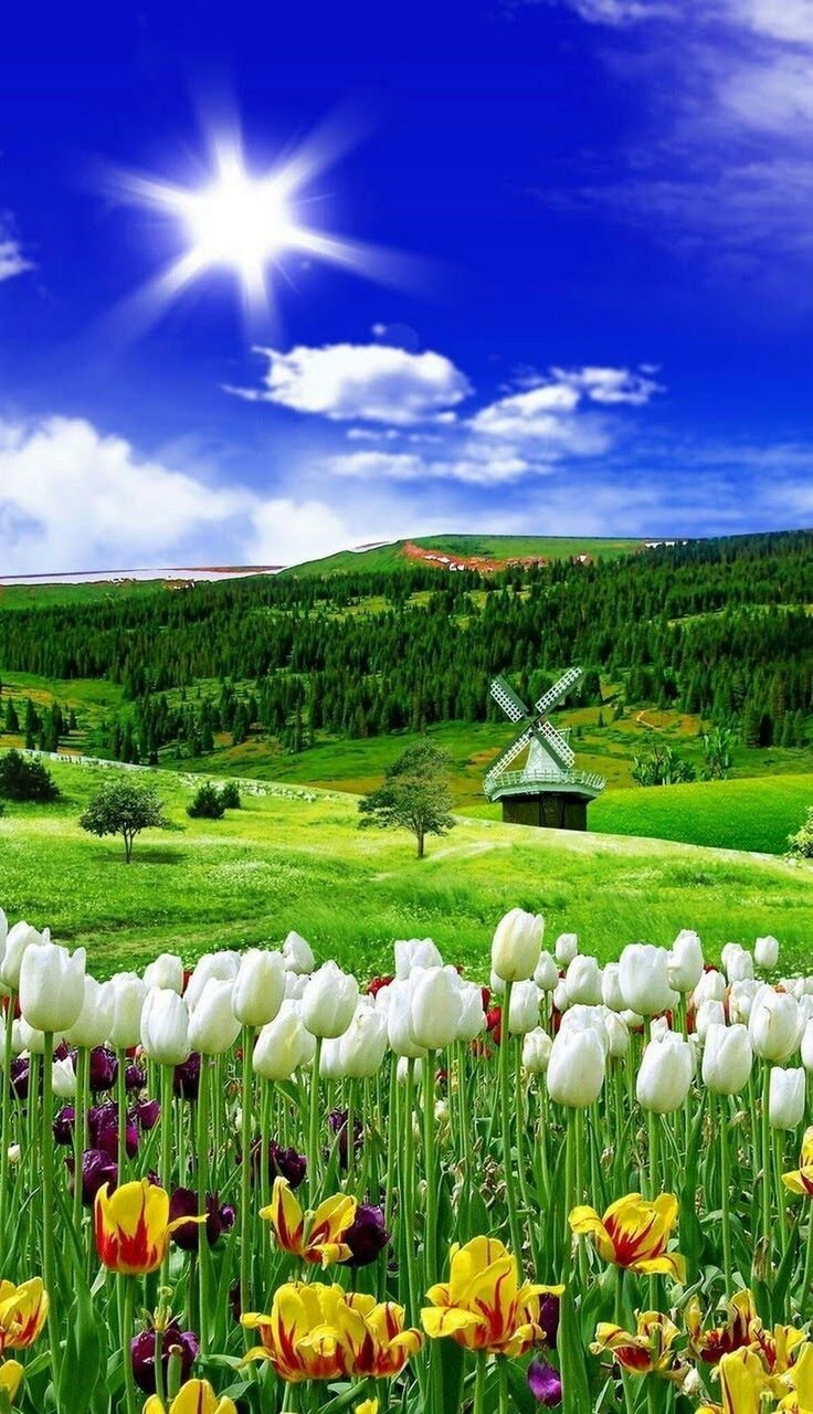 Манзара водопад