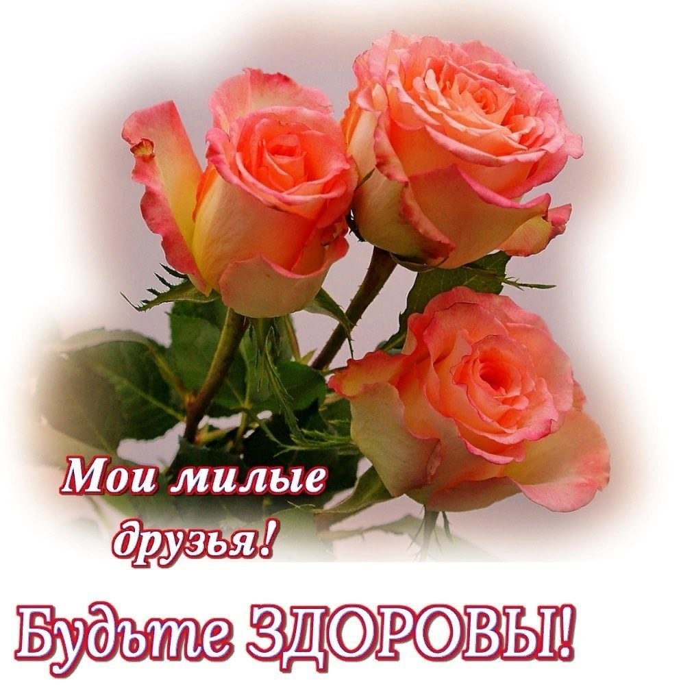 Доброго утра и замечательного дня