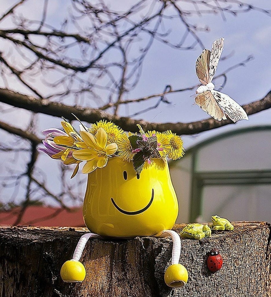 Доброе утро улыбнись