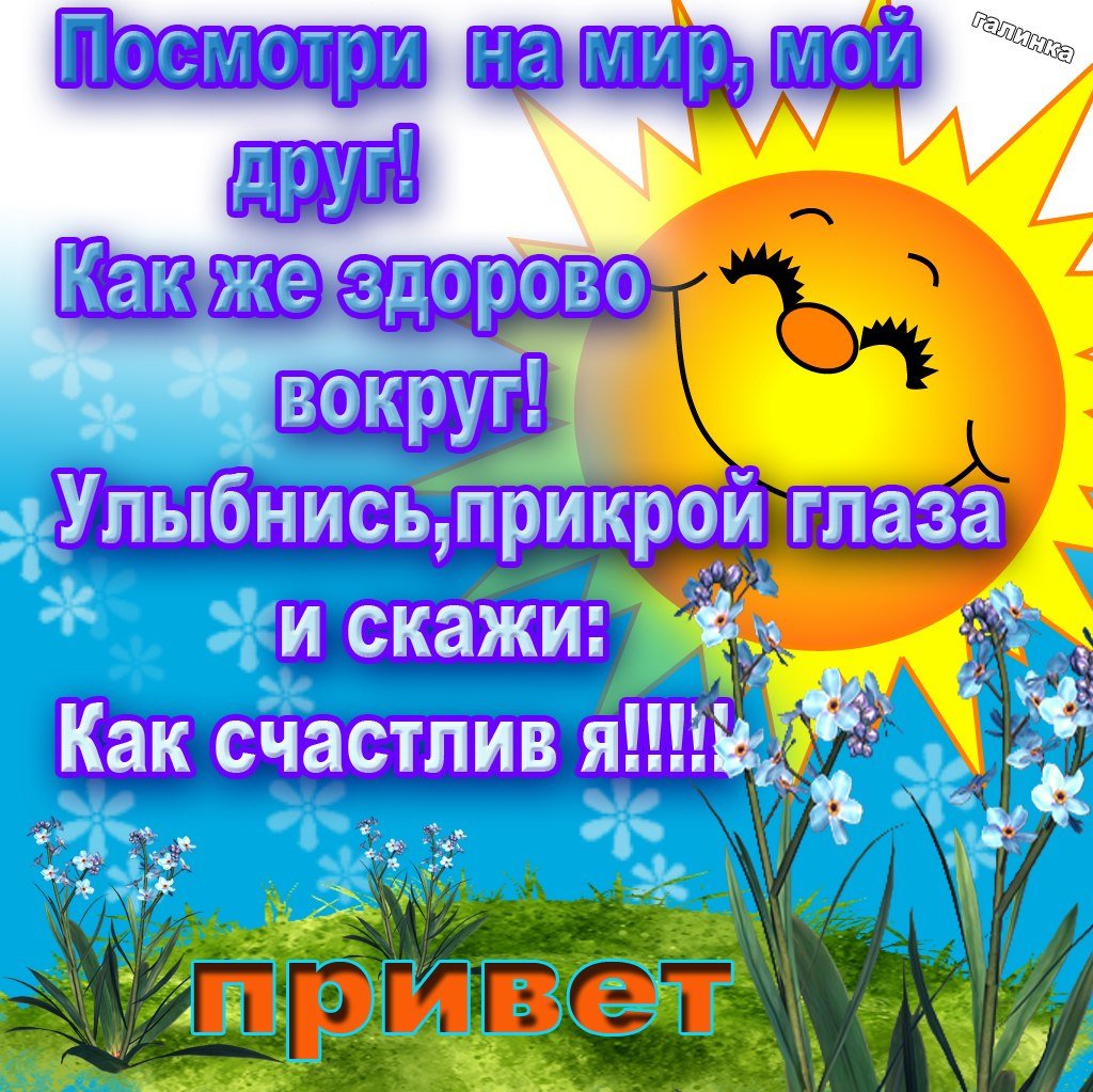 Доброго дня и хорошего настроения прикольные