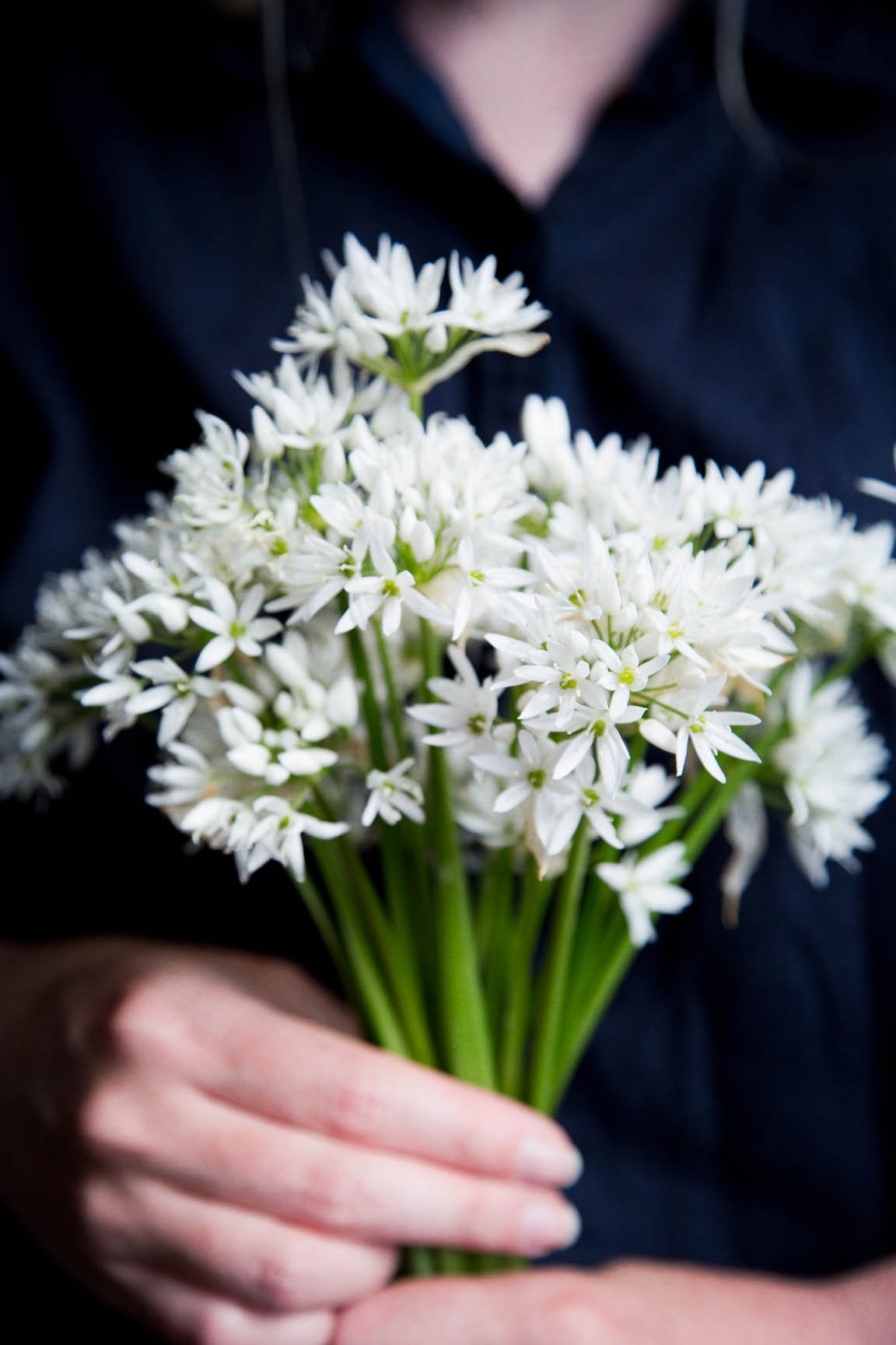 Цветы просто так от души