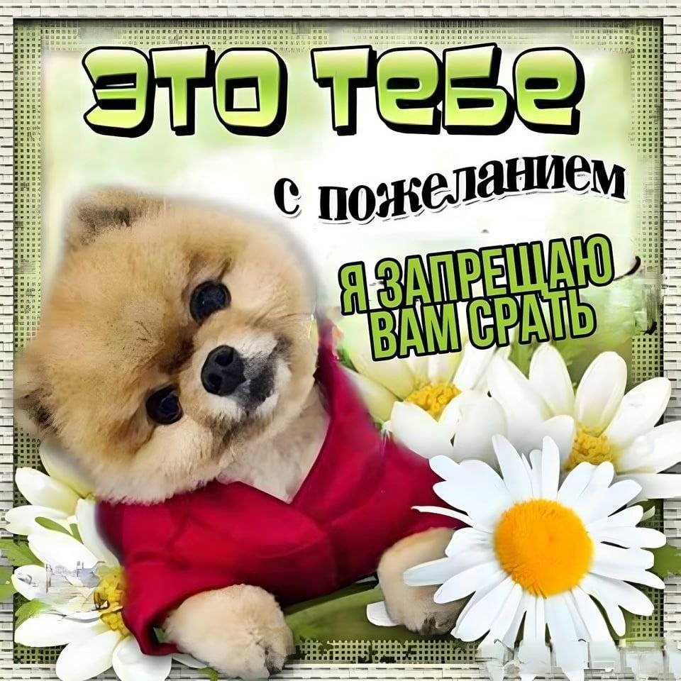 Открытка "просто так"