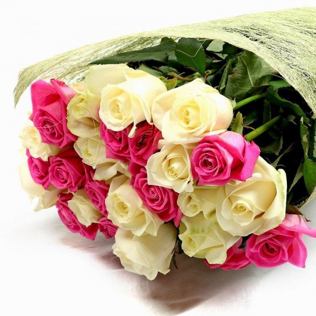 Гифки просто так для настроения