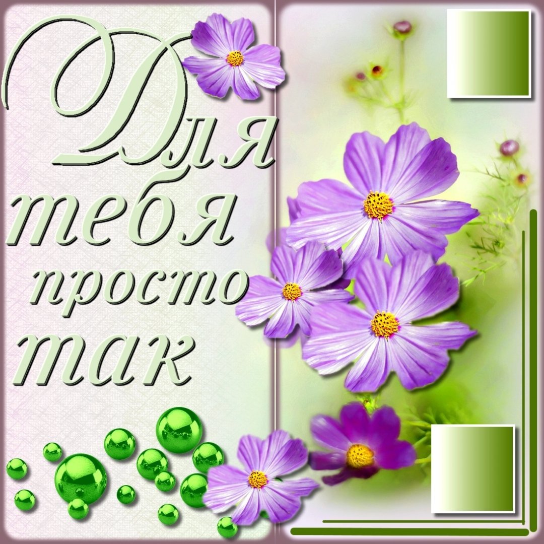 Цветы с комплиментами для девушки