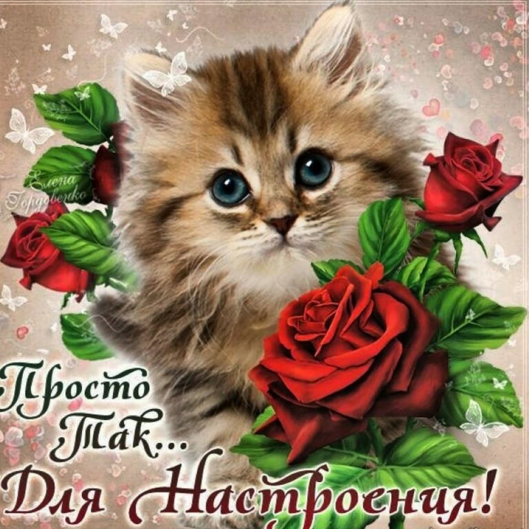 Доброе утро Зайка