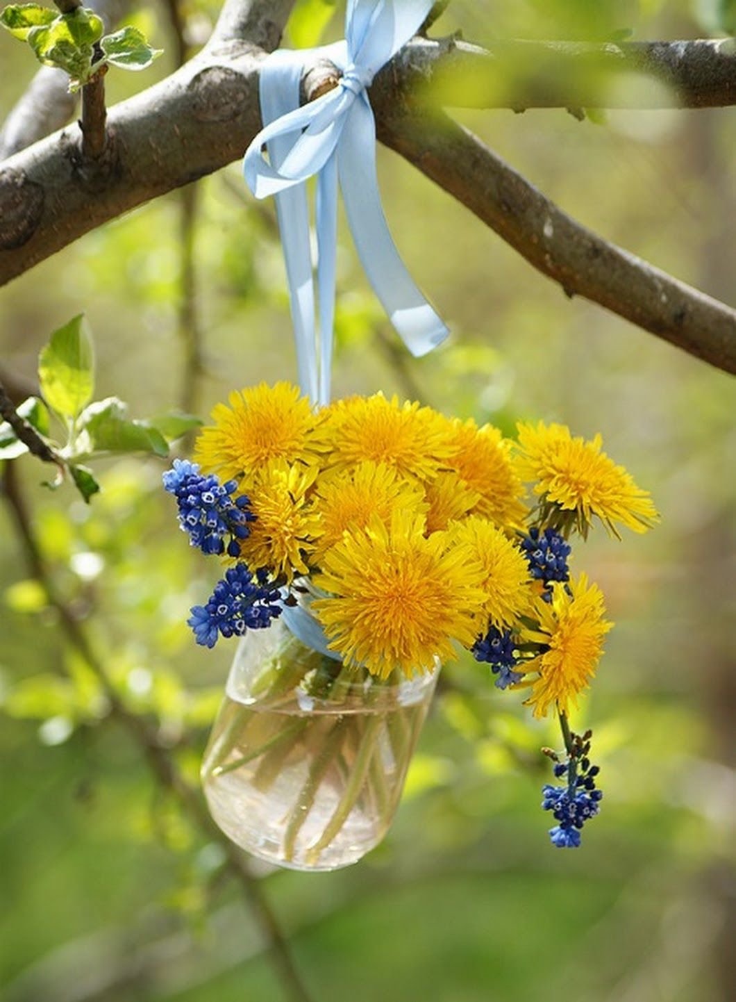 Солнечного дня и отличного настроения