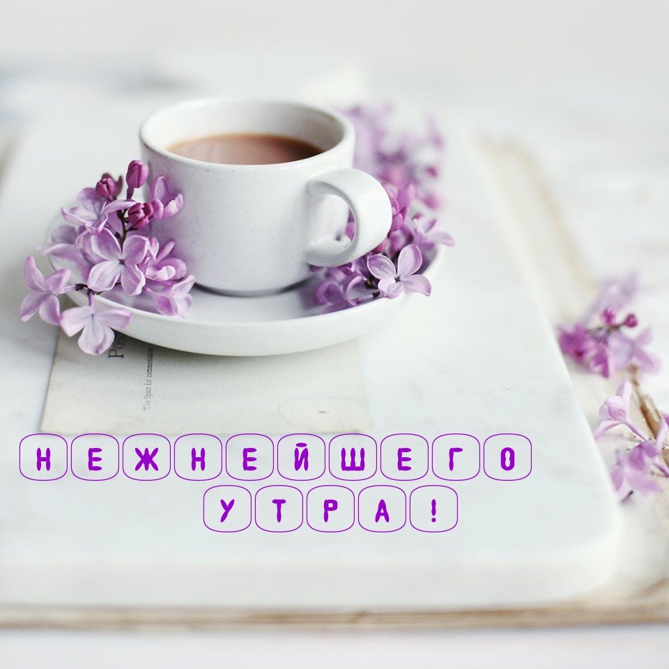 Доброе нежное утро