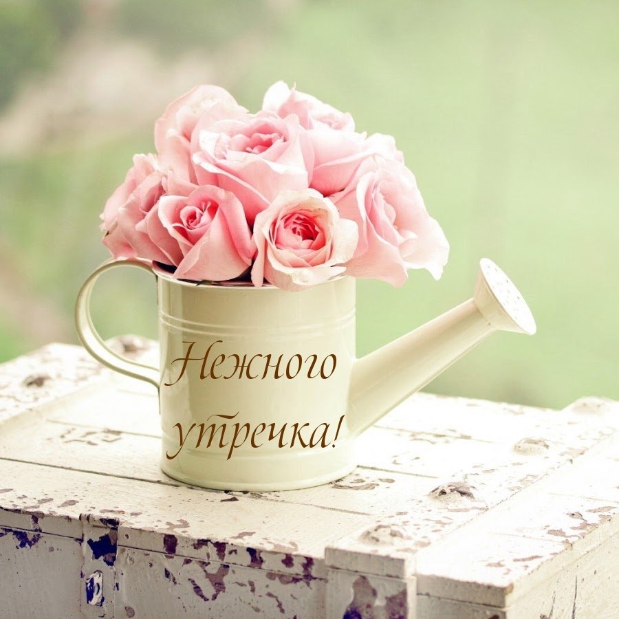 Нежное утро