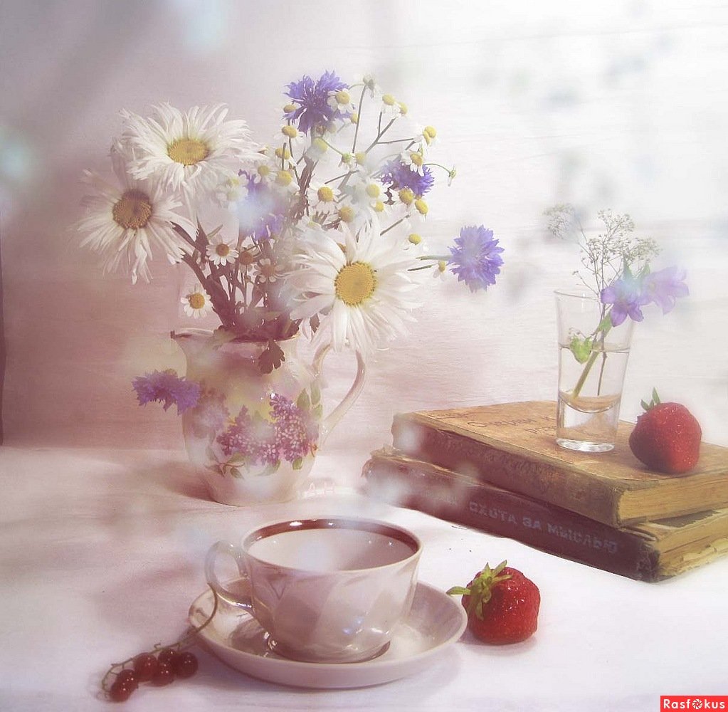 Цветы красивые необычные нежные