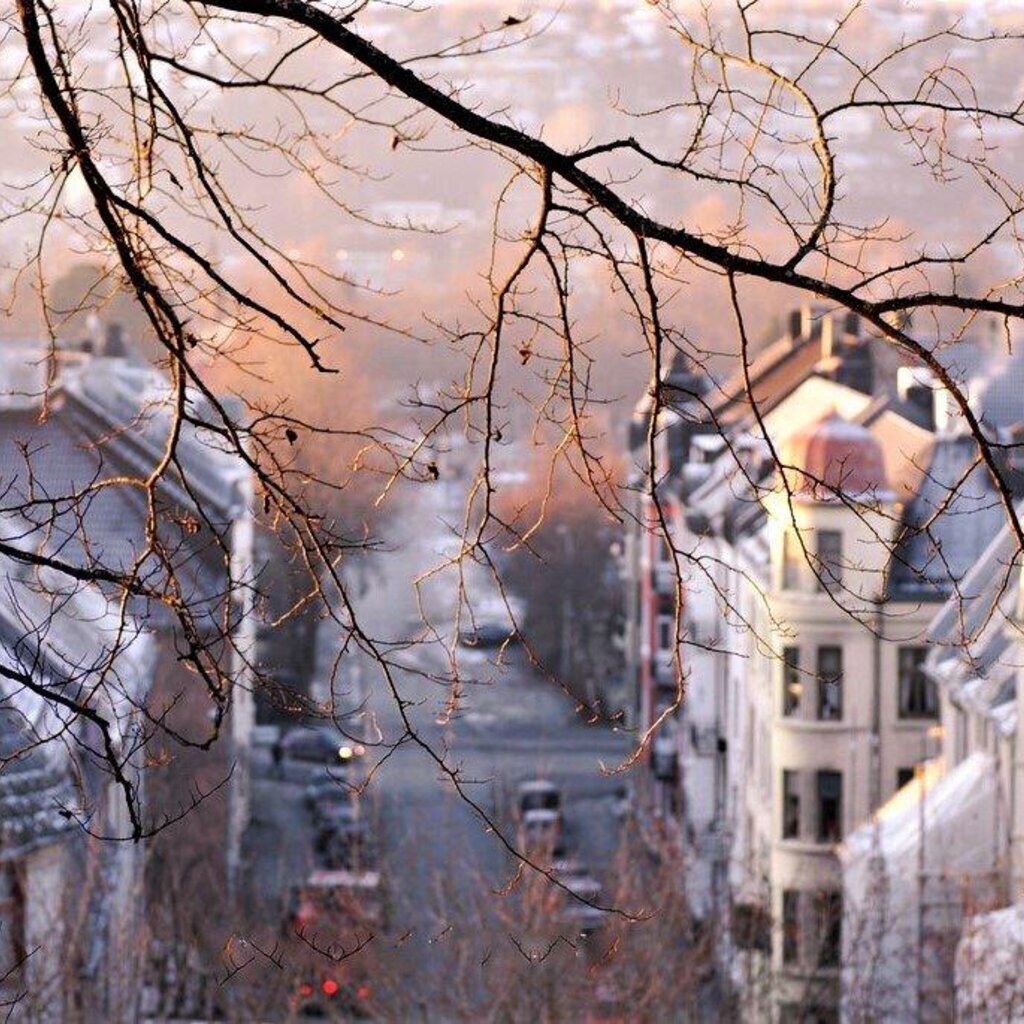 Весенний апрельский парк