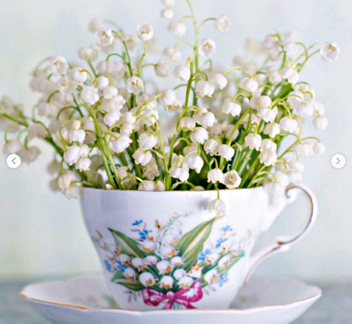 С 8 марта Ландыши