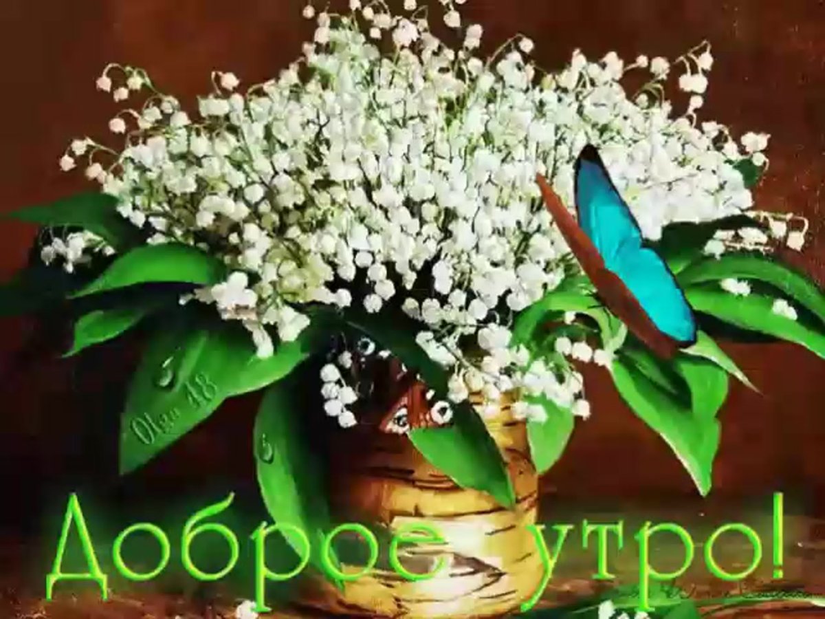 Открытки с добрым утром весенние