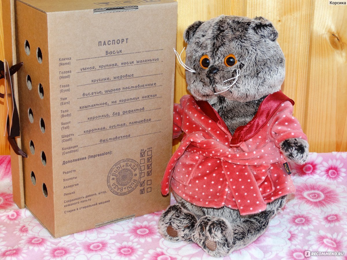Паспорт кота Басика игрушка