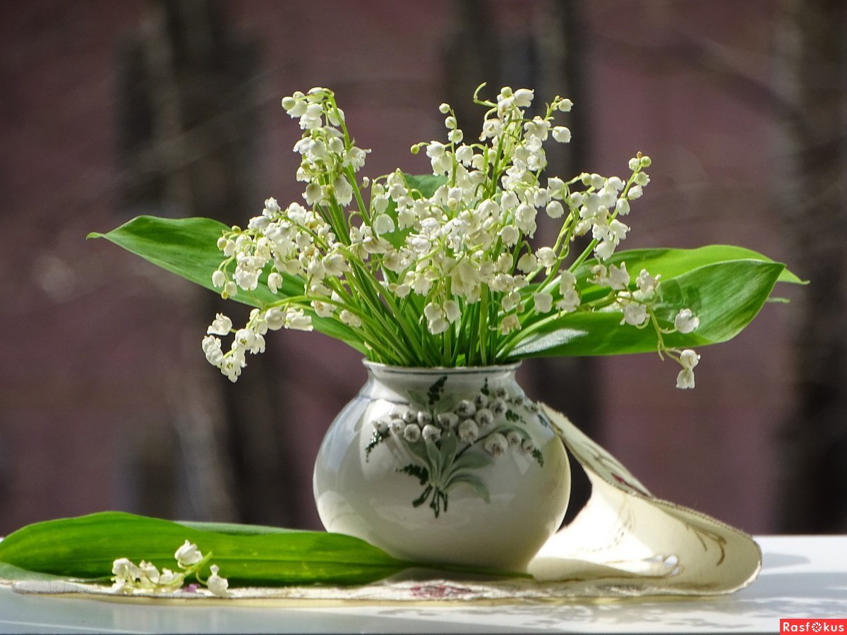 Очень нежные весенние цветы