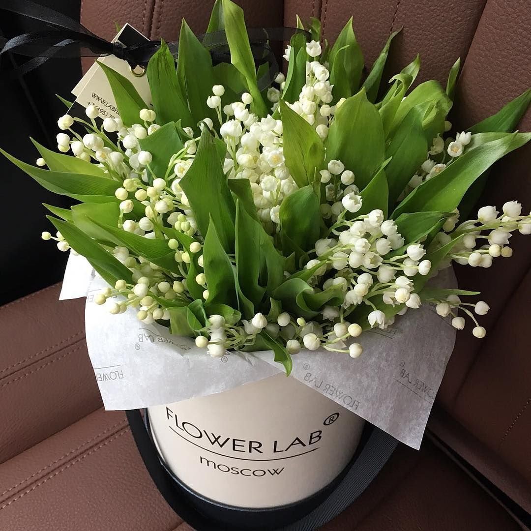 Ландыши Инстаграм