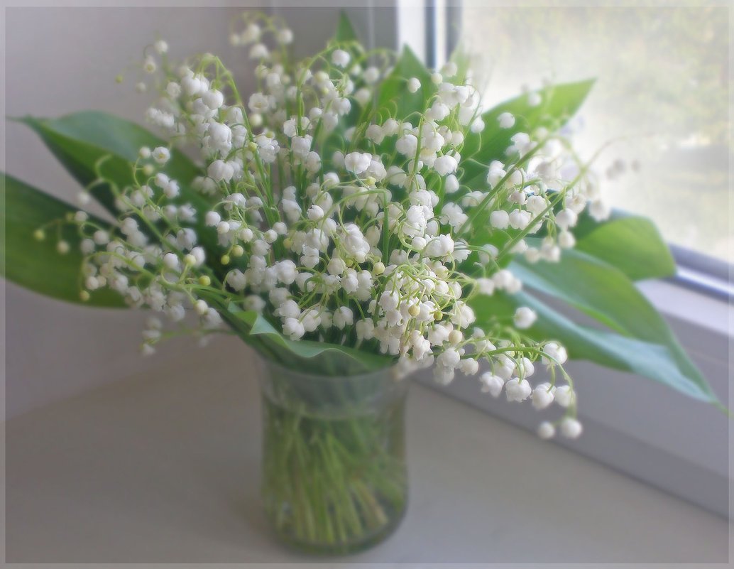 Привет Ландыши