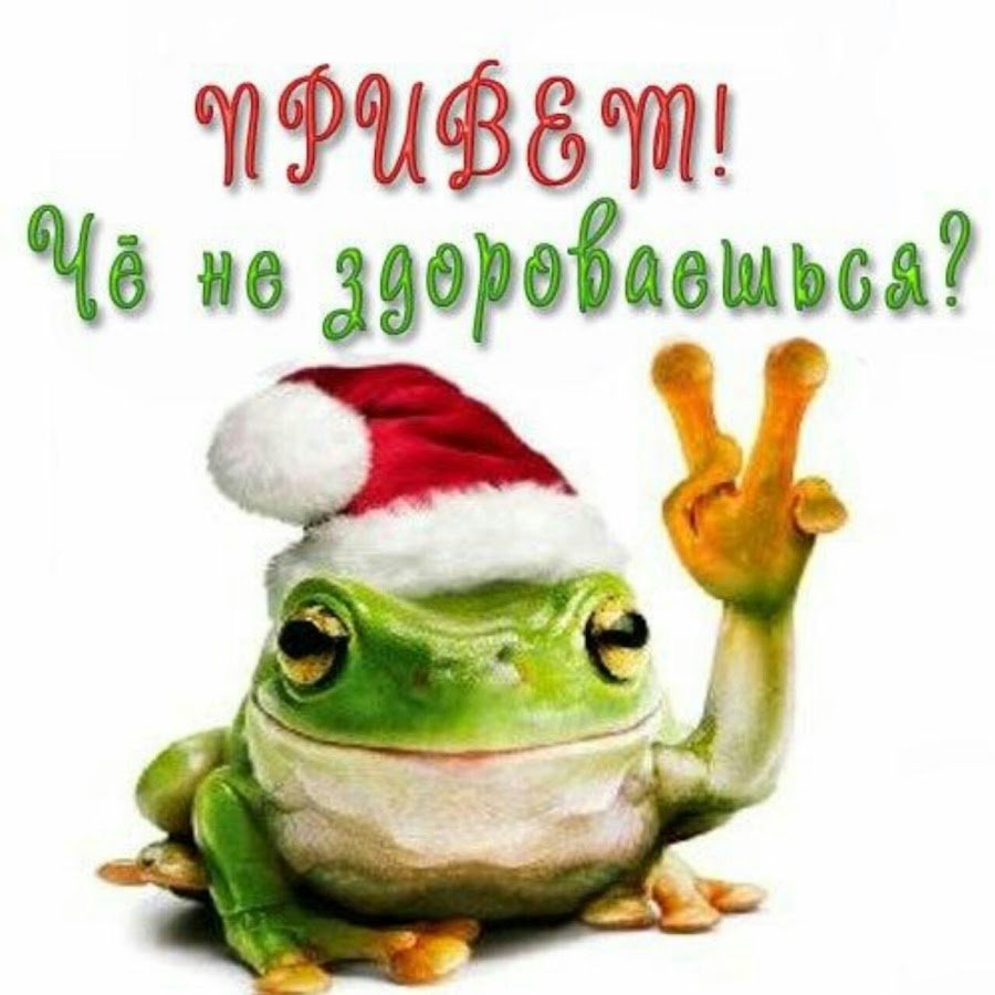 Всем привет прикольные картинки