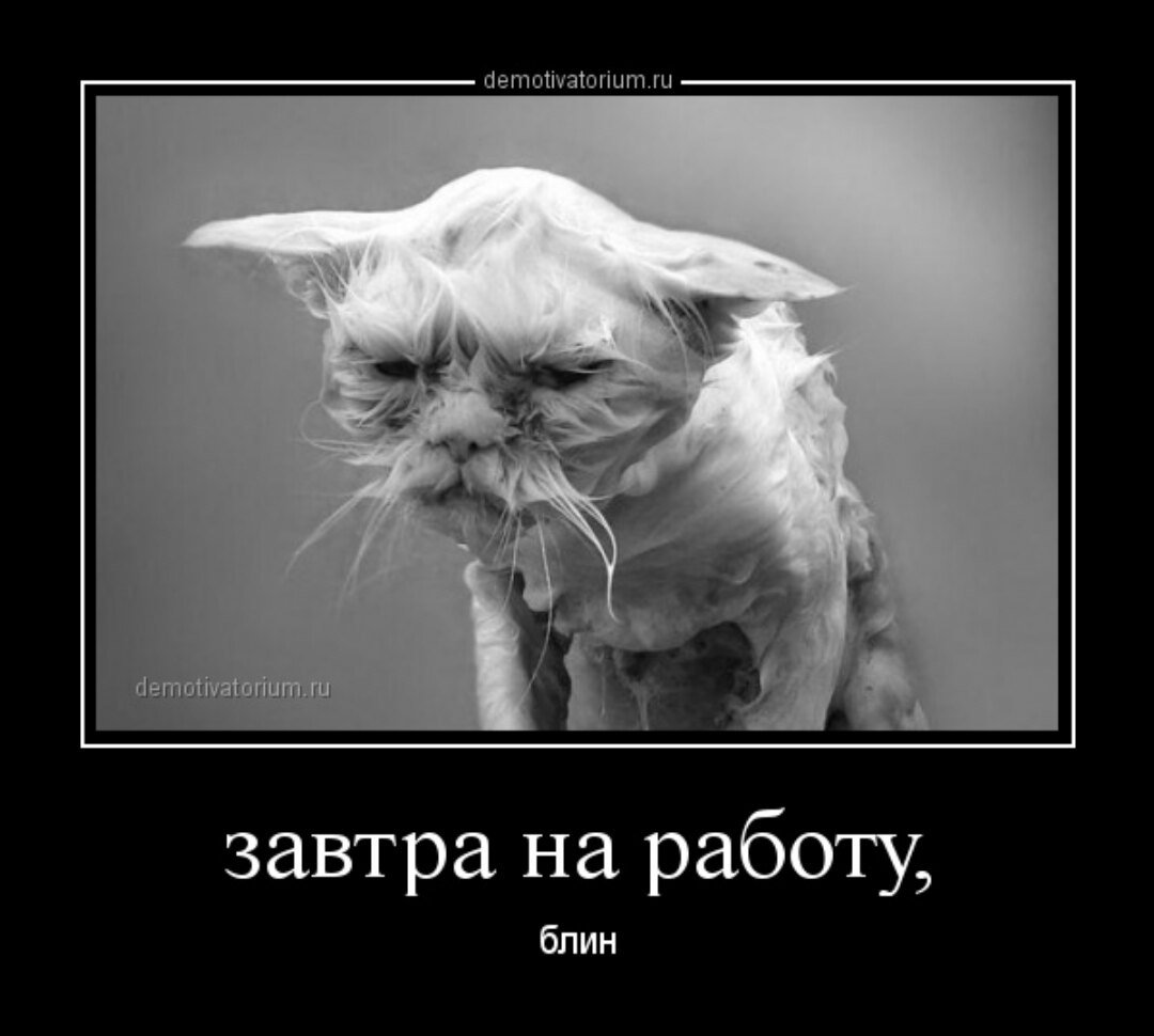 Завтра на работу
