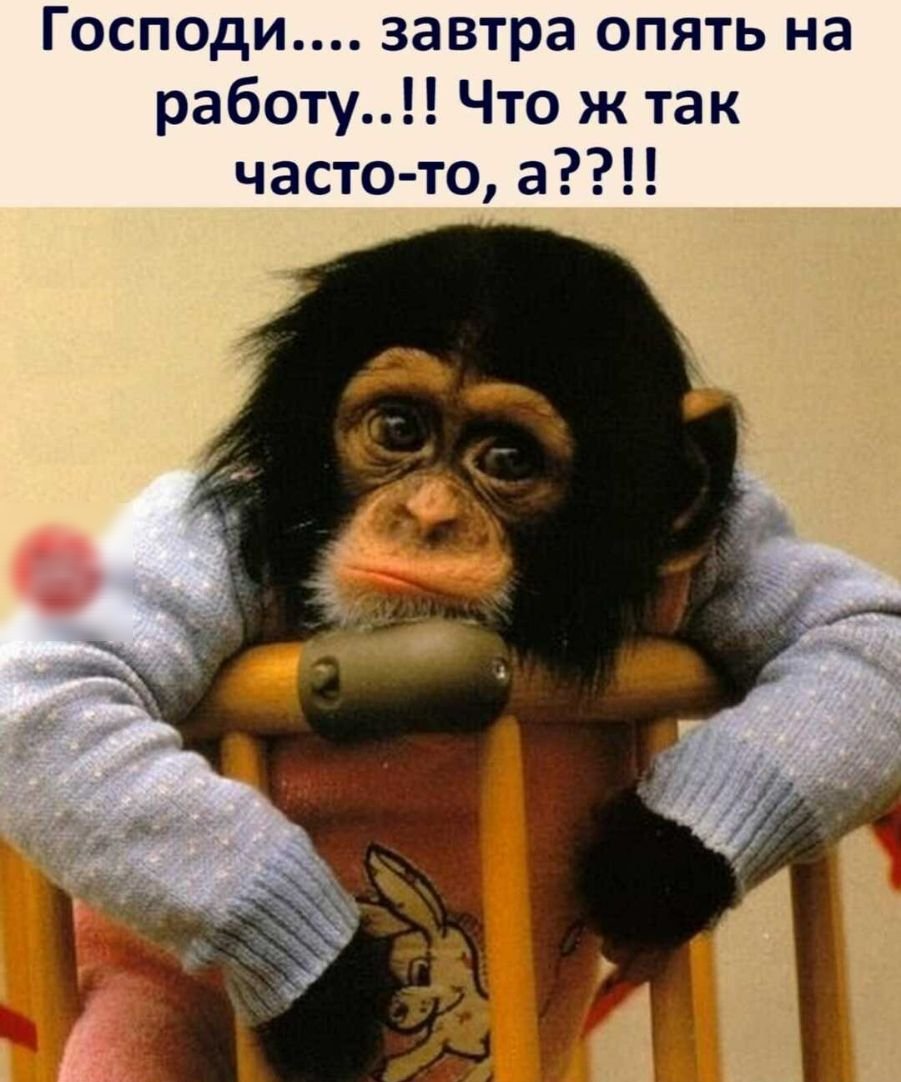 Работать не прет