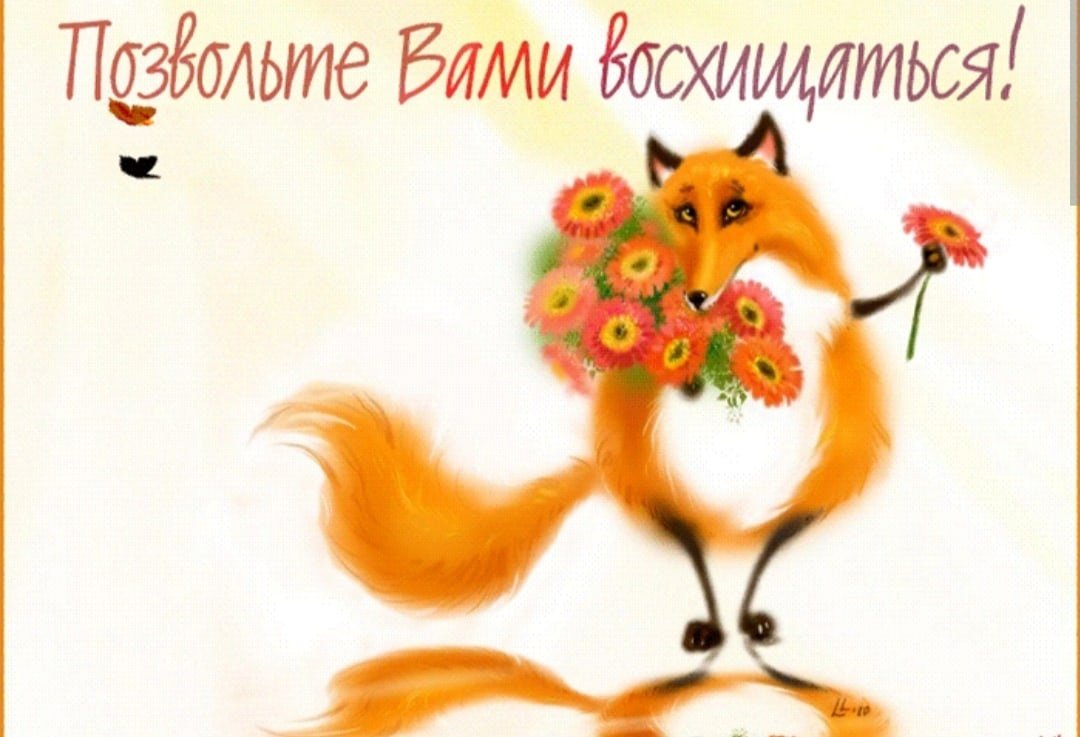 С днем рождения лиса