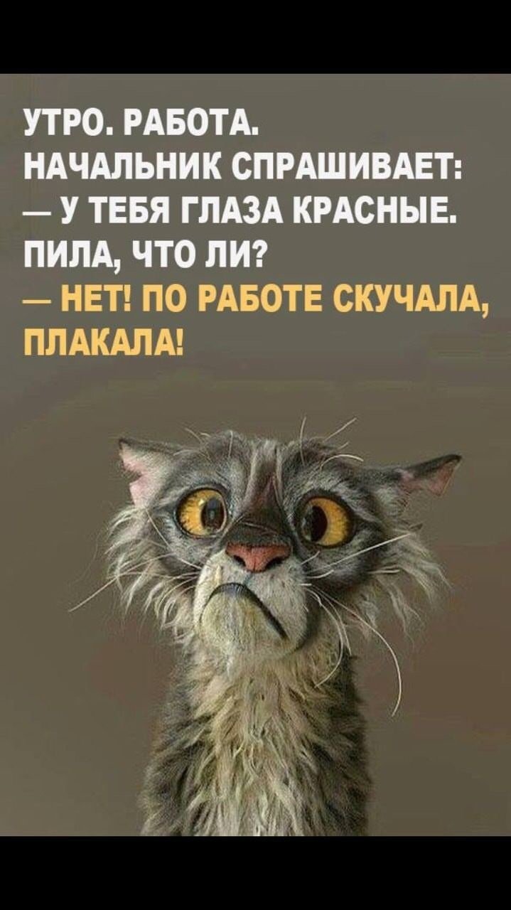 Завтра понедельник и снова