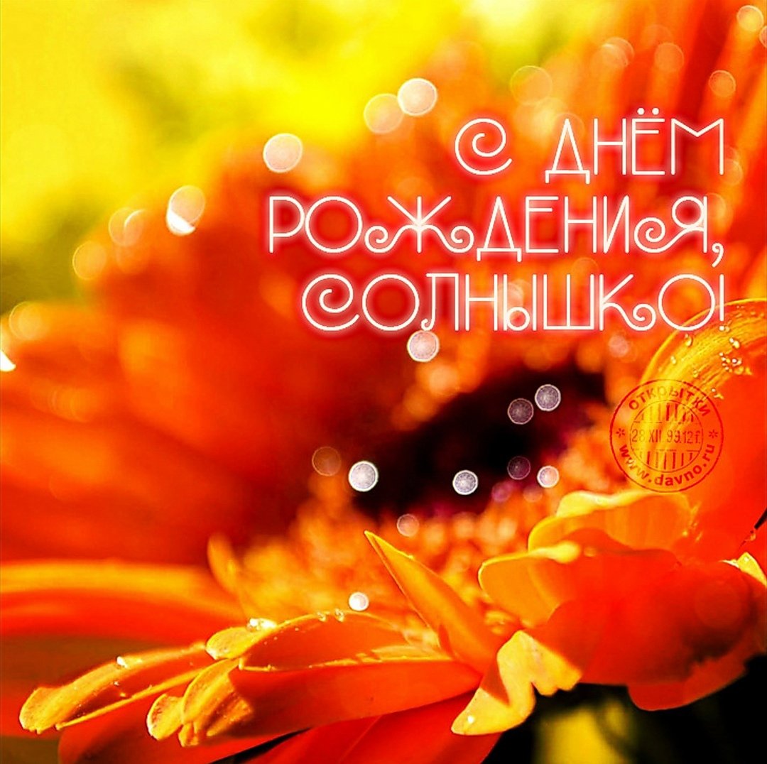 С днём рождения корги открытки